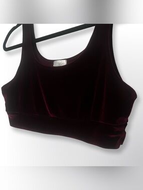 Laina Rauma Velour Bralette
Great condition 
Large
Wine Red
Retired Retail $83